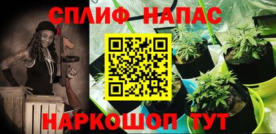 МДПВ Славянск-на-Кубани