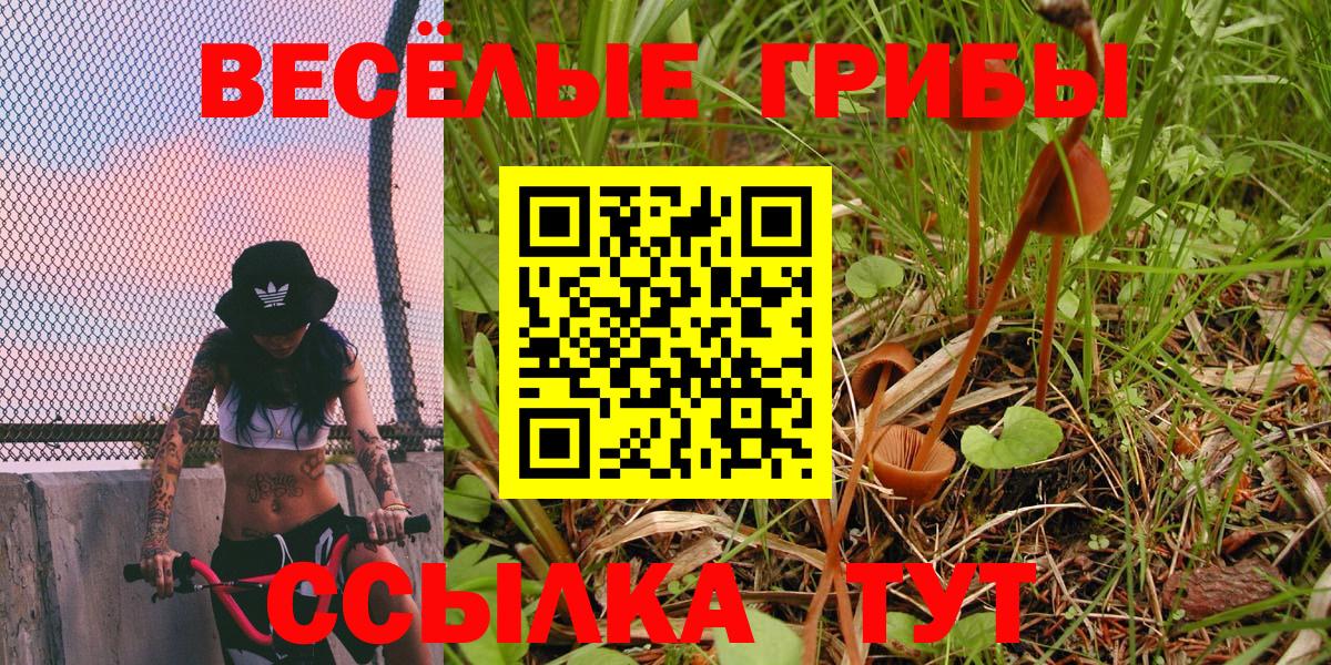 Галлюциногенные грибы мицелий Новокубанск
