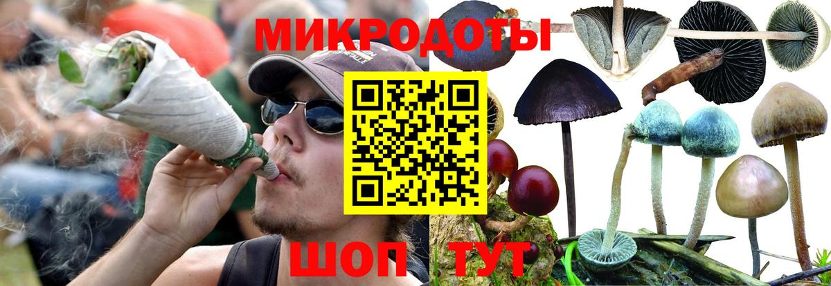 Новокубанск  Галлюциногенные грибы Magic Shrooms  Псилоцибиновые грибы Magic Shrooms  что такое наркотик  Вход с VPN 